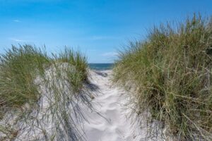 つむじが薄い原因とは何ですか？