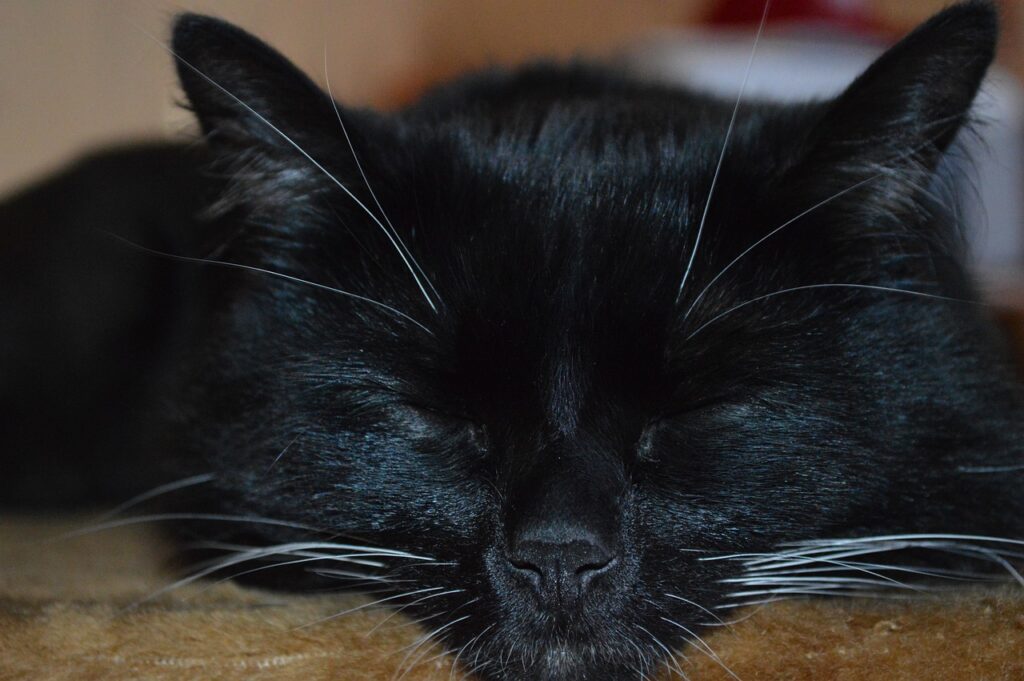 つむじはげでもイケてる髪型はどれ？