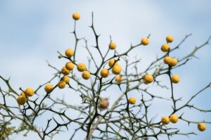 つむじはげに悩む人におすすめの髪型は？