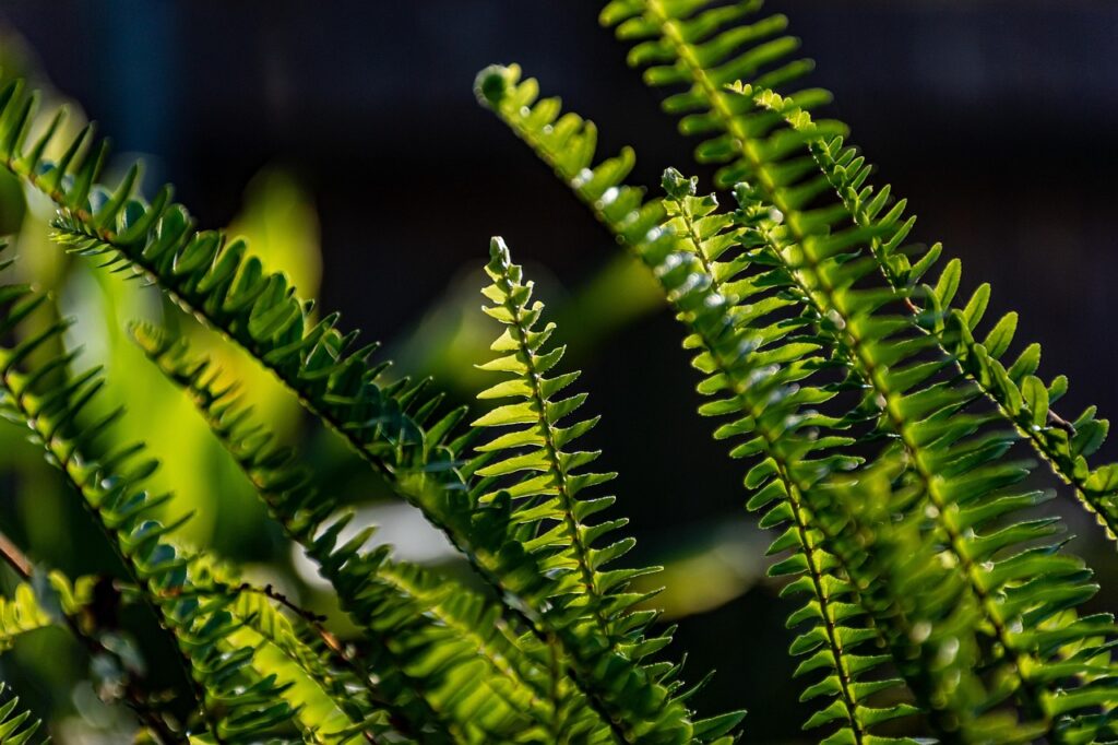 分け目が薄い時の対処法は？