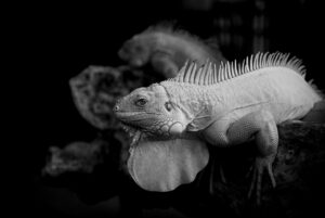 つむじはげ高校生が気になる原因と対策は？