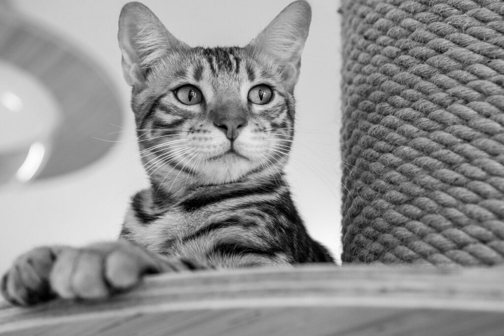 高校生のつむじはげを改善するための対策は？