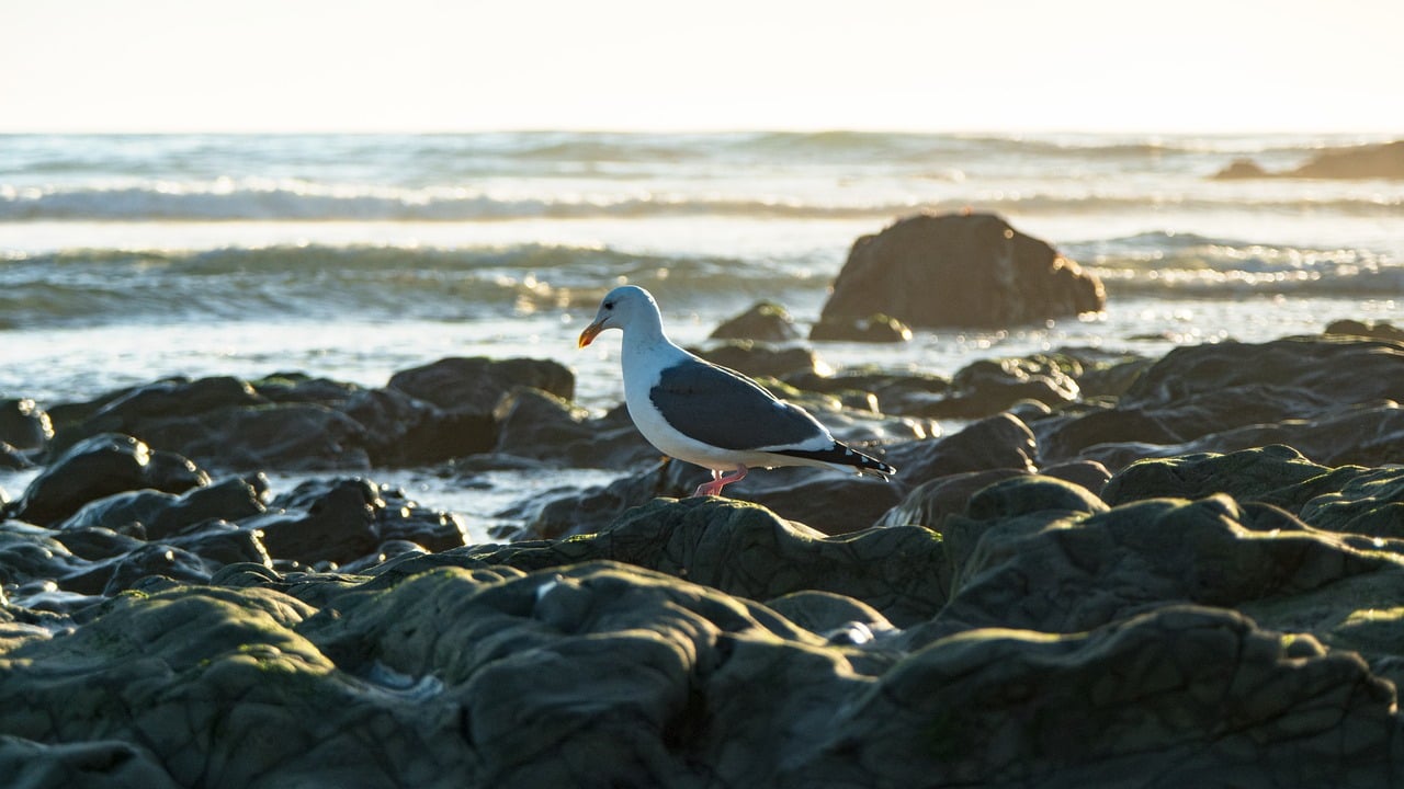 つむじのハゲが気になる夏に汗をかきやすい時期の対策スプレーは？
