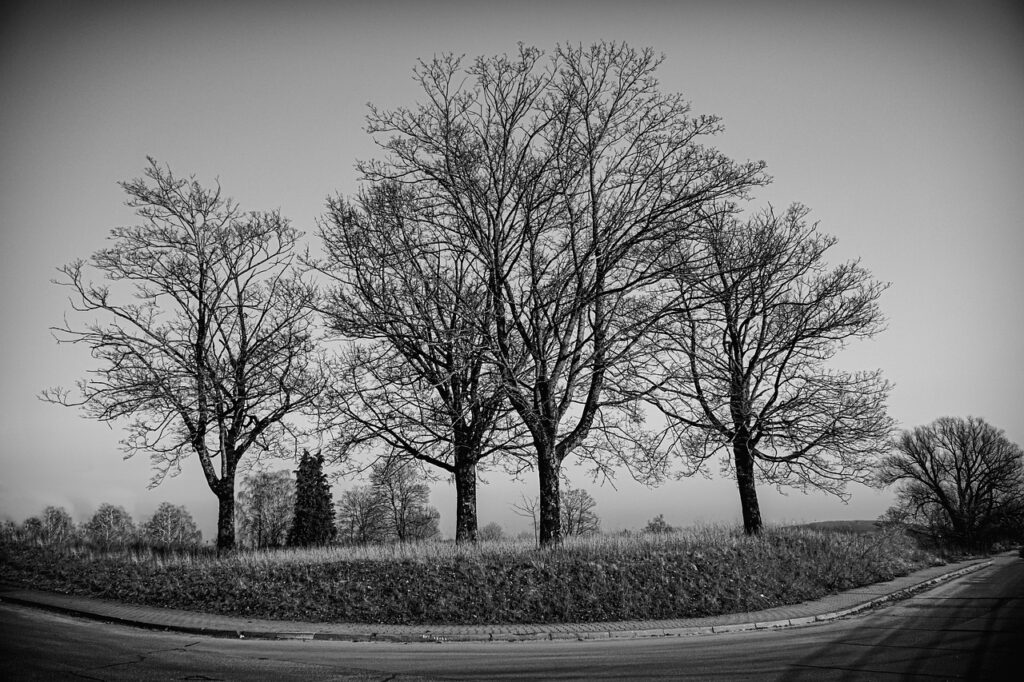 つむじハゲをカバーするプロフィール写真の対策は？