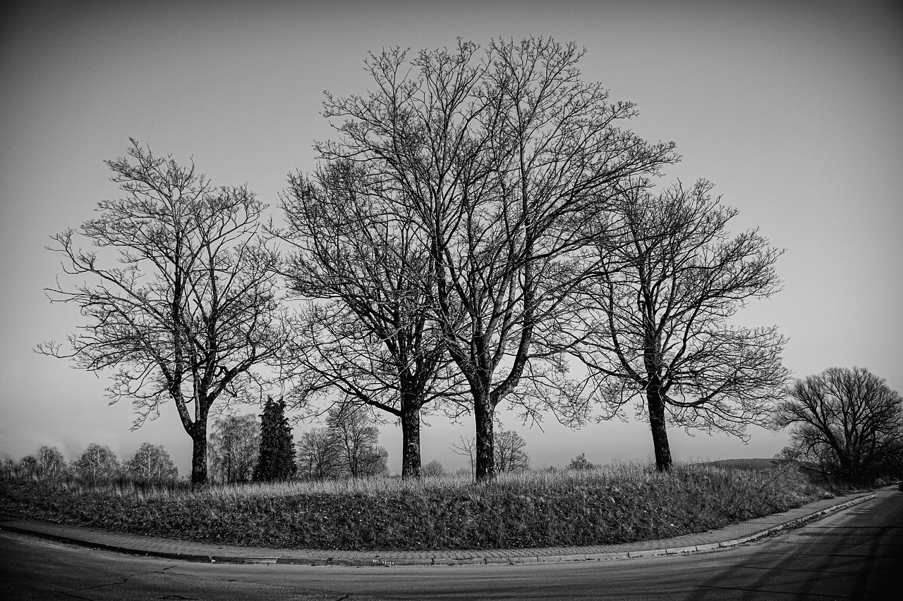 つむじハゲをカバーするプロフィール写真の対策は？