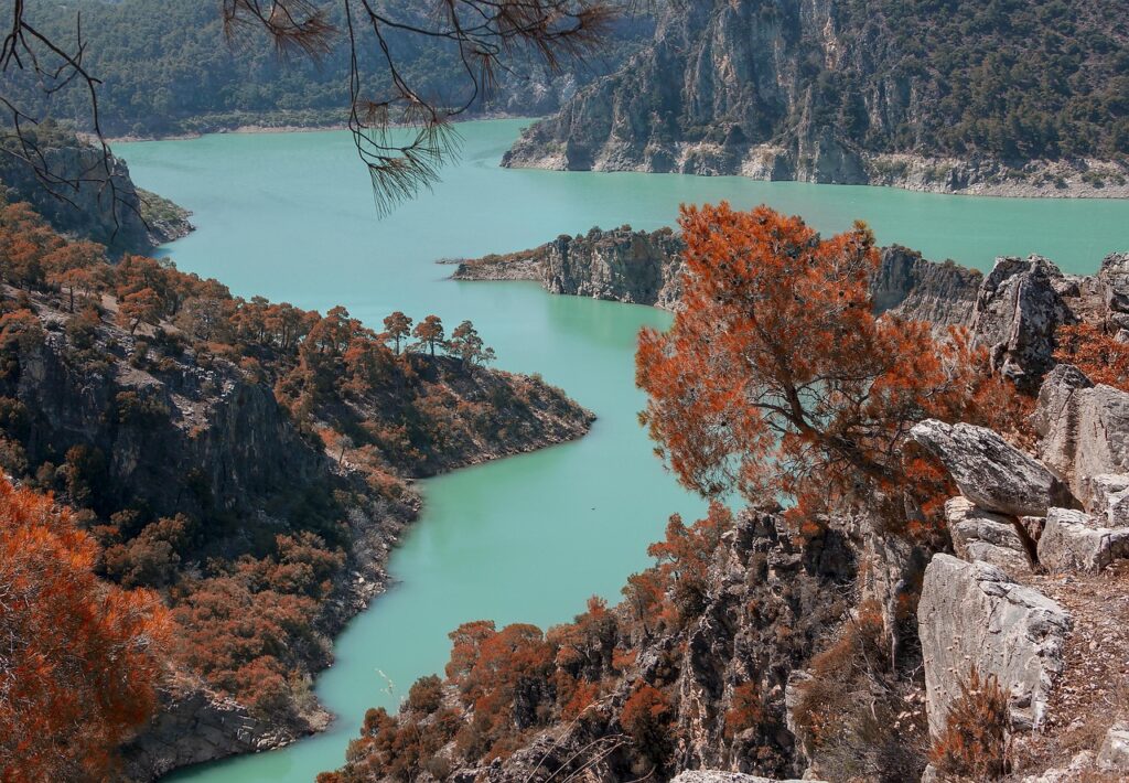 中学生のためのシンプルなつむじハゲの隠し方は？