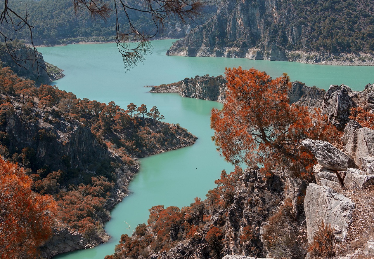 中学生のためのシンプルなつむじハゲの隠し方は？