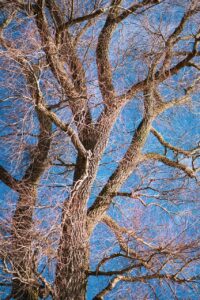 つむじハゲをカバーするコンシーラーの髪色選び方は？