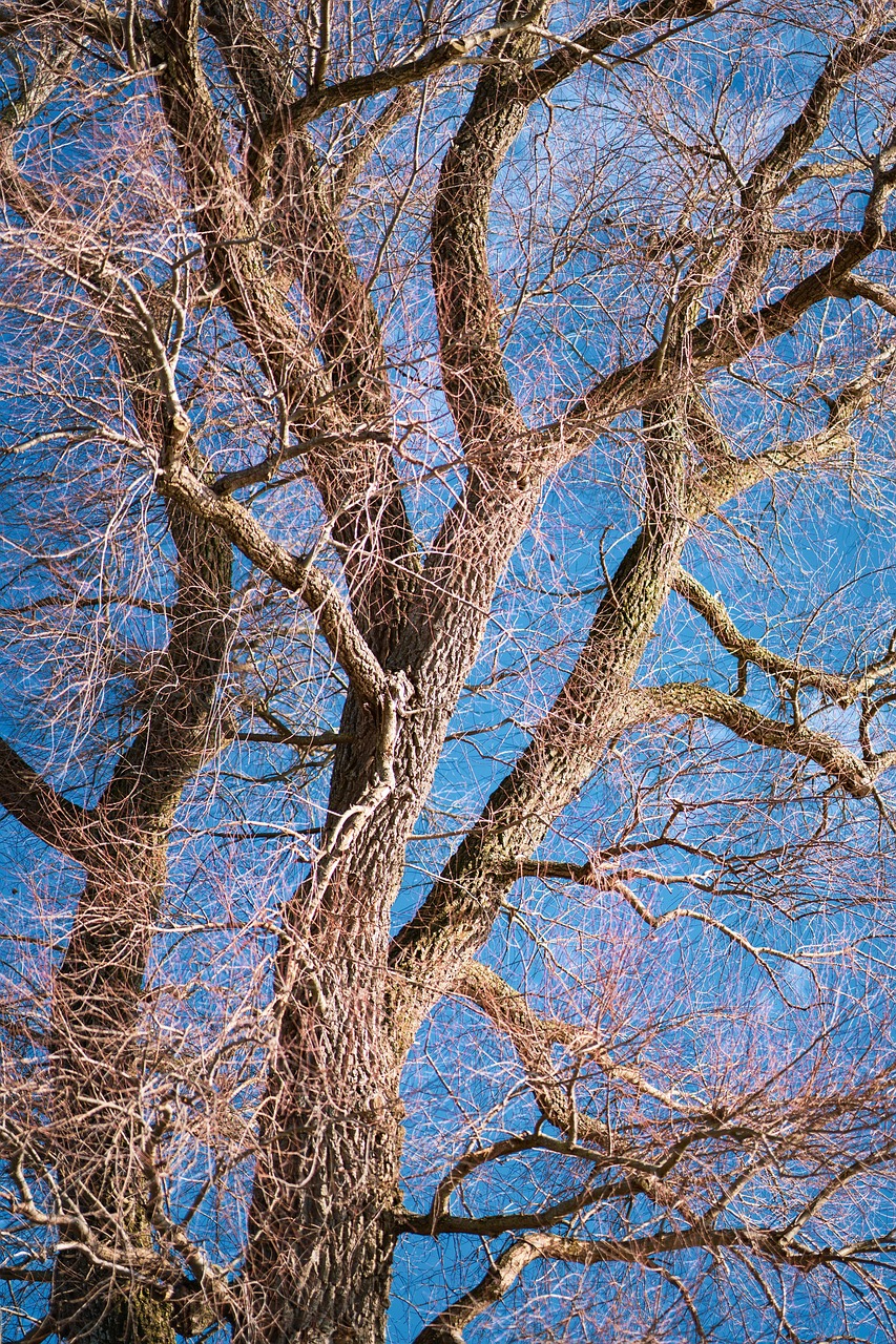 つむじハゲをカバーするコンシーラーの髪色選び方は？