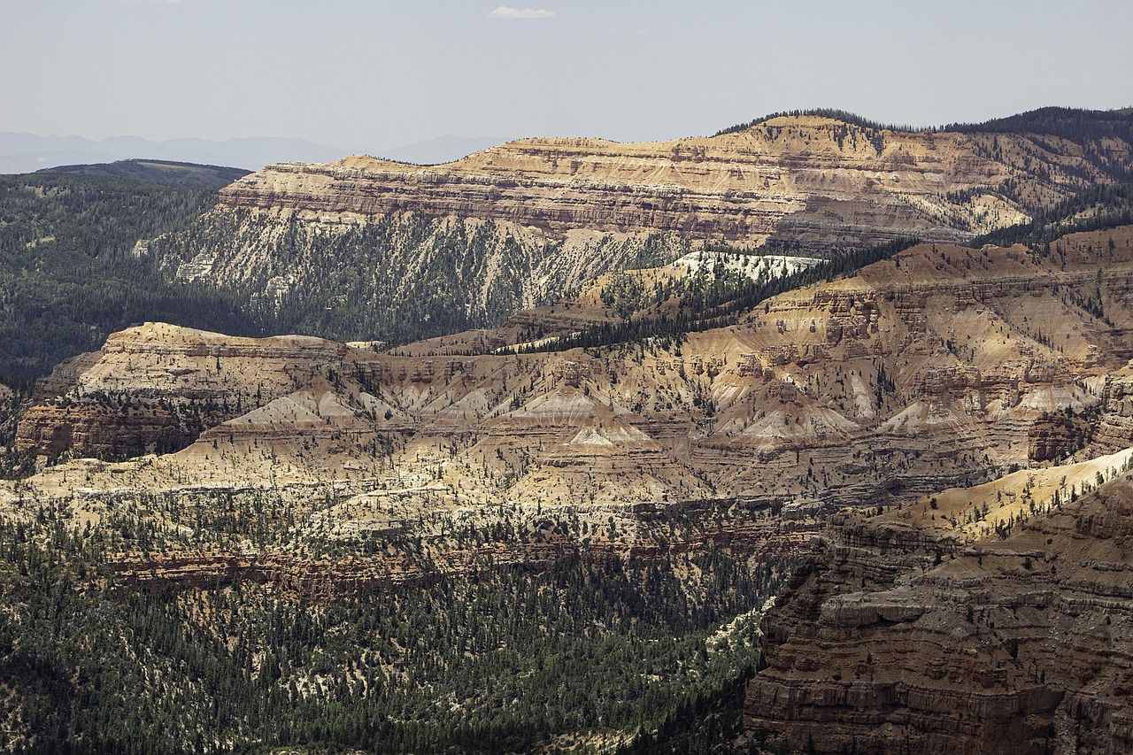 つむじがぱっくり割れる時の簡単な直し方は？