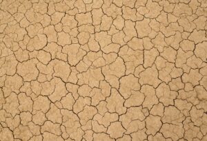 つむじの割れ目を隠す方法にはどんなものがある？