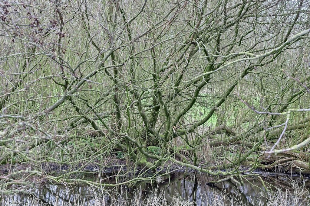 つむじハゲが若く見えない原因とは？