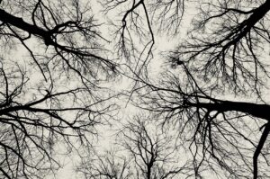 つむじハゲに効果的なトリートメントは逆効果になることがあるの？