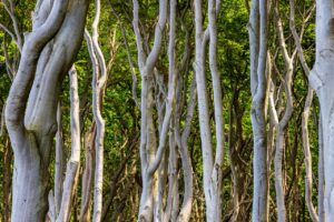 つむじハゲをカバーするボリューム前髪の作り方は？