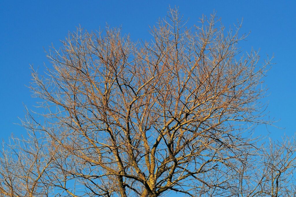 つむじハゲを瞬間的に隠す方法はばれない？