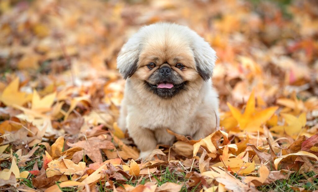 つむじのハゲを1週間で改善する方法は？