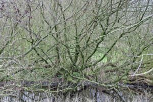 つむじのハゲを改善する髪習慣とは？