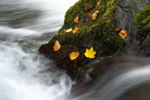 つむじの薄毛を毛流れで変える方法は？