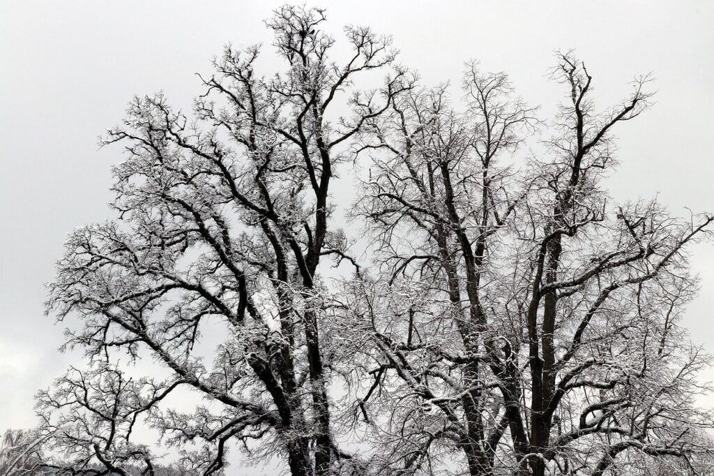 つむじハゲに悩むあなたにおすすめのホットカーラー即効対策は？