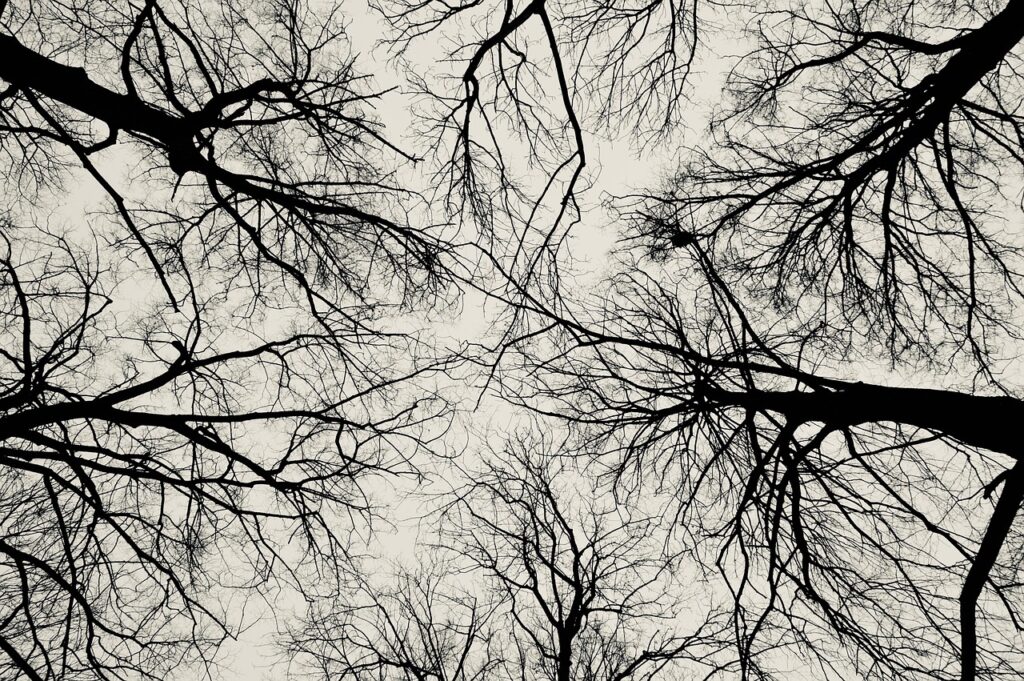 つむじハゲを外出先で3秒リセットする方法は？