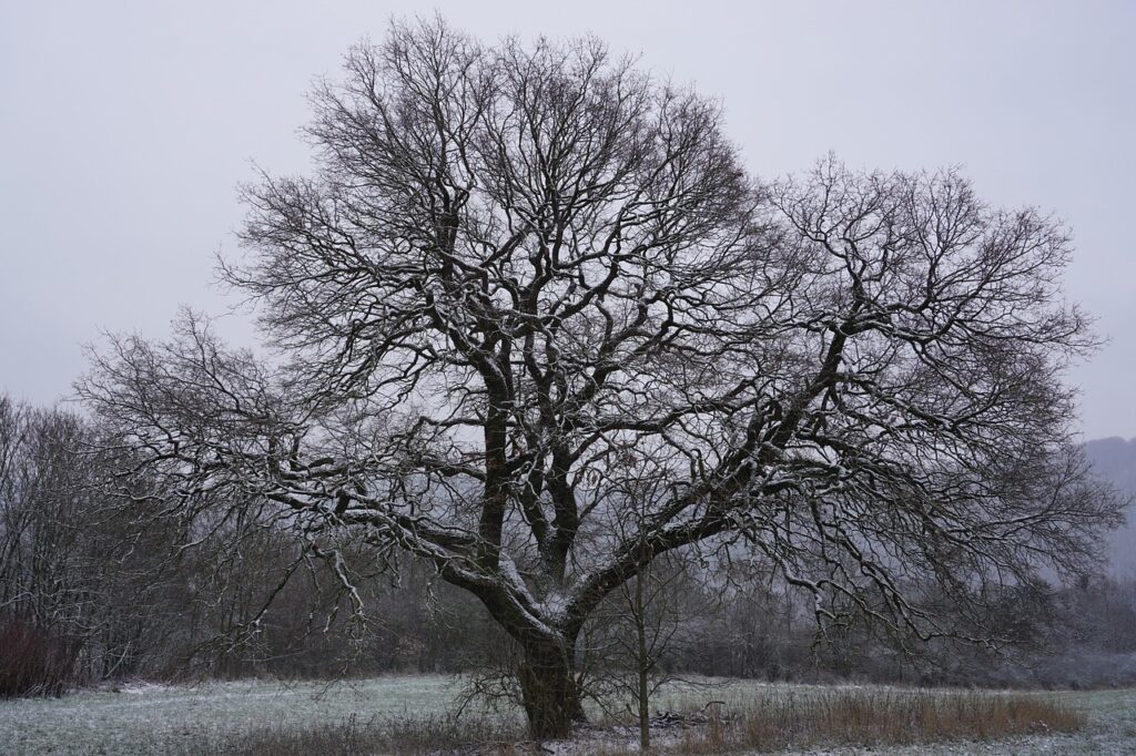 つむじハゲを自分でうまく隠せない時の対処法は？