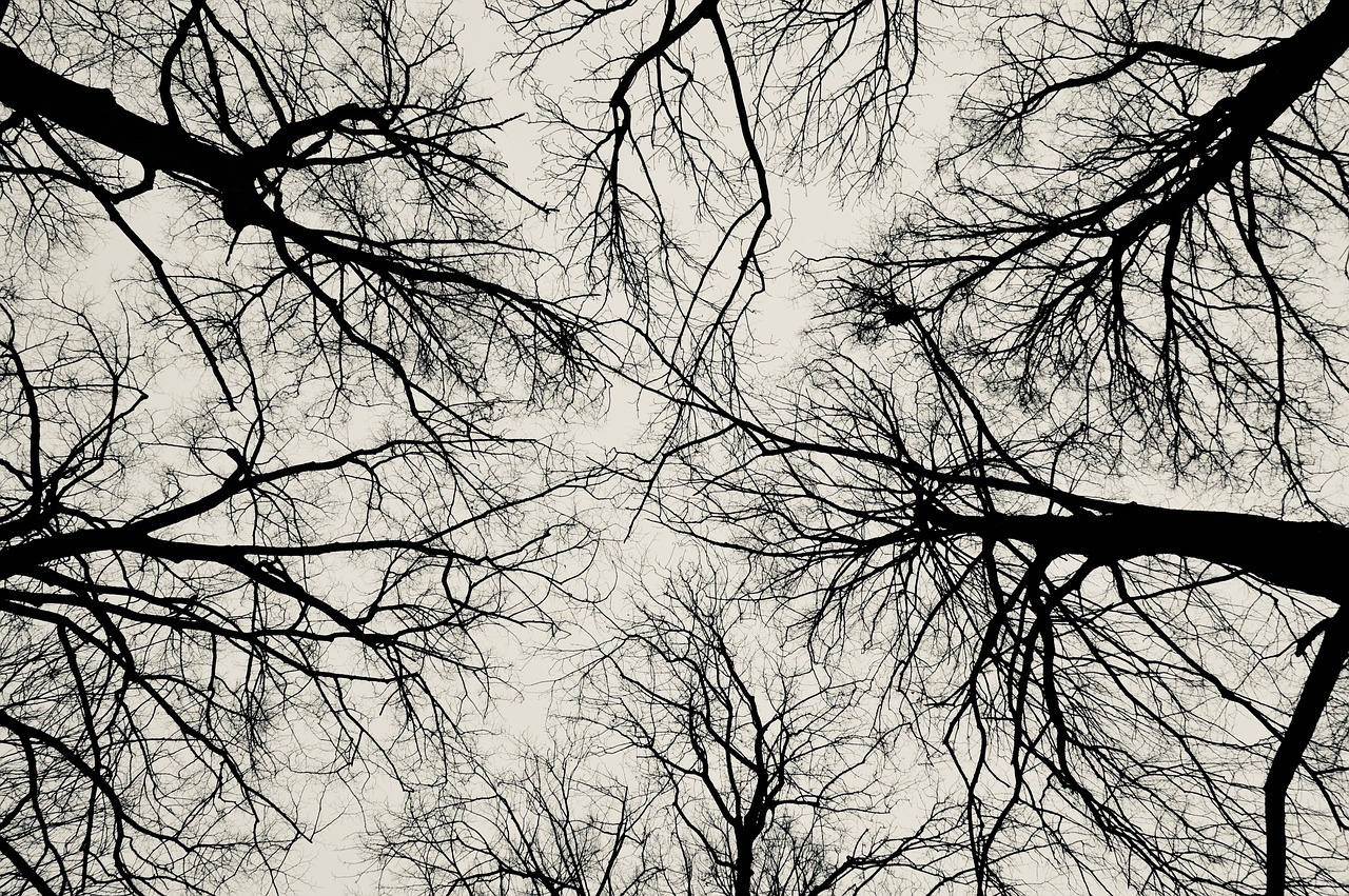 つむじハゲを一瞬で目立たなくするやり方は？