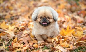 つむじハゲが写真で目立つ時の効果的な対策は？