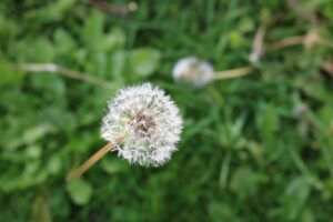 つむじハゲに悩むあなたへ、ワックスの使い方はこれで決まり？