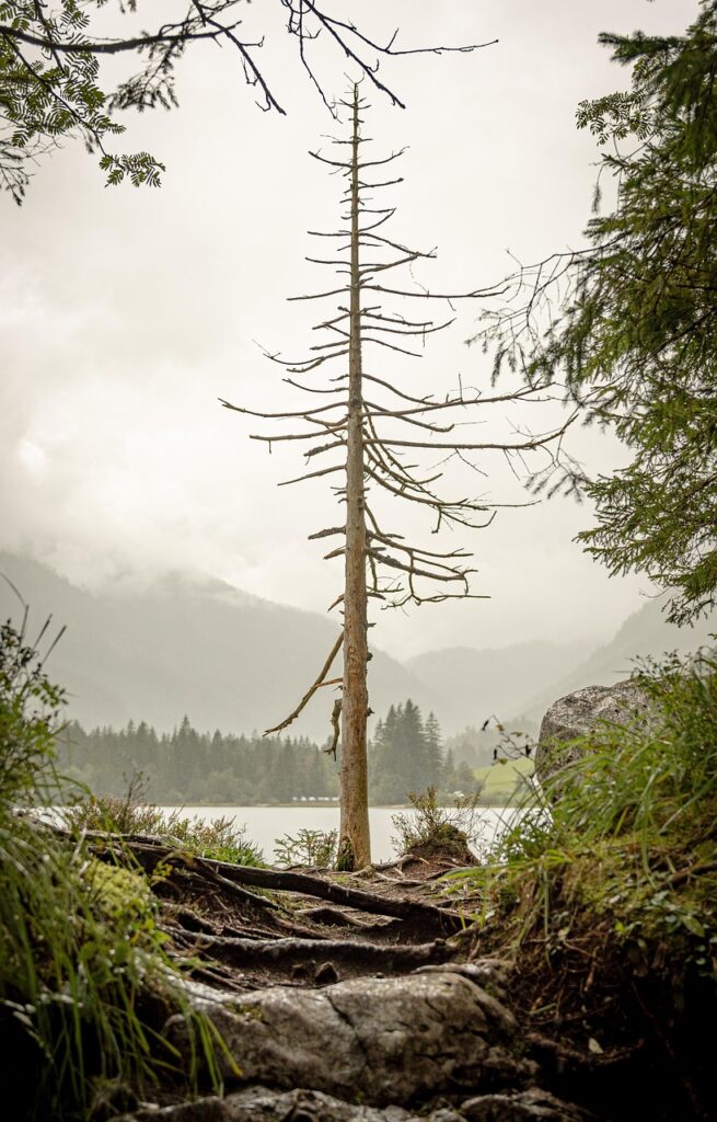 つむじハゲに最適なスプレーはどれがおすすめ？
