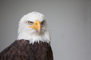 忙しい朝にぴったり！つむじハゲを隠すコツは？
